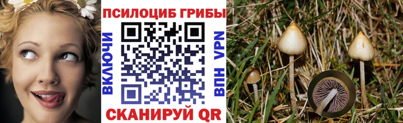 наркотики  Никольское  Галлюциногенные грибы прущие грибы 